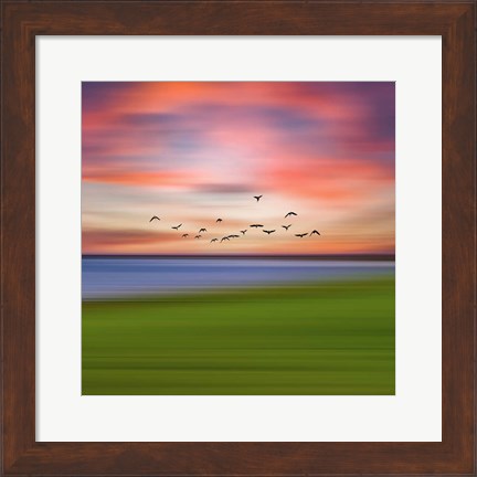 Framed Birds In The Sunset Print