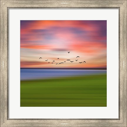Framed Birds In The Sunset Print