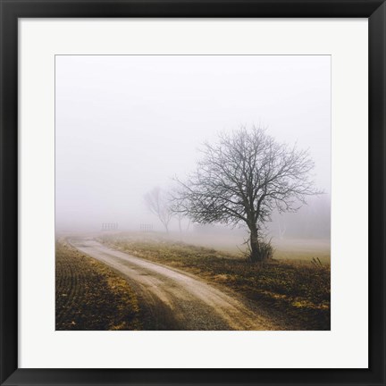 Framed Lonely Tree In The Mist Print