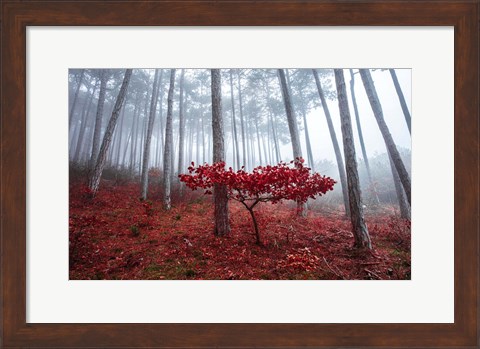 Framed Misty Autumn Print