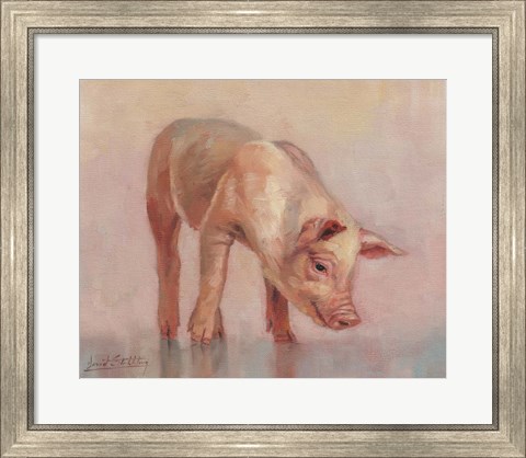 Framed Little Pig Print