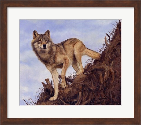 Framed Wolf Tree Root Print
