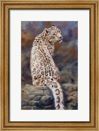 Framed Snow Leopard 2 Print