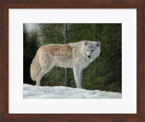 Framed Grey Wolf In Snow Print