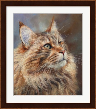 Framed Maincoon Cat Print
