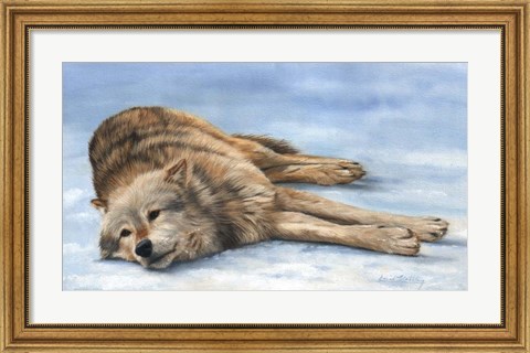 Framed Wolf Laying In Snow Print