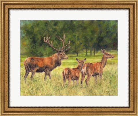 Framed Deer Family Print