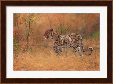 Framed Leopard In The African Bush 2 Print