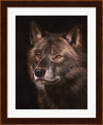 Framed Black Wolf Print