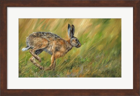 Framed Hare Running Print