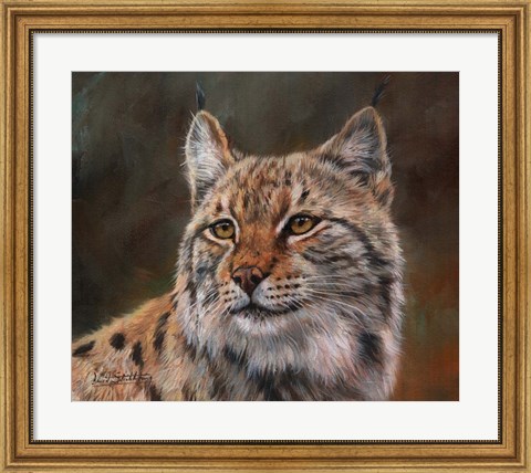 Framed Eurasian Lynx Print