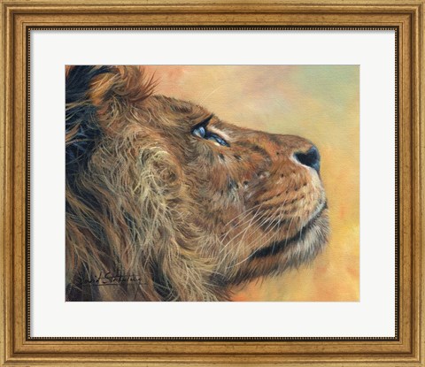 Framed Lion Profile Print