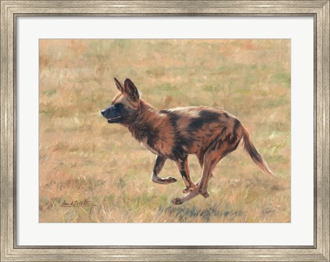 Framed African Wild Dog Running Print