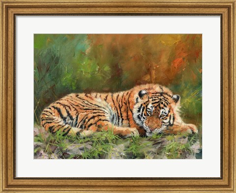 Framed Amur Tiger Laying Down Print