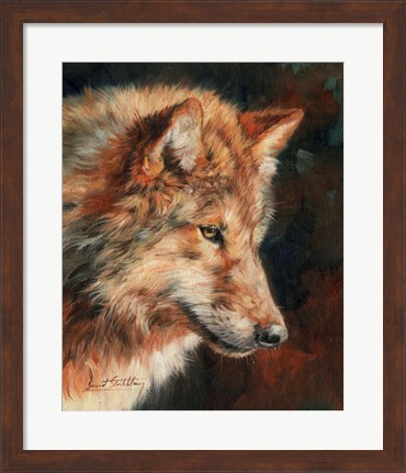 Framed Grey Wolf Portrait Print