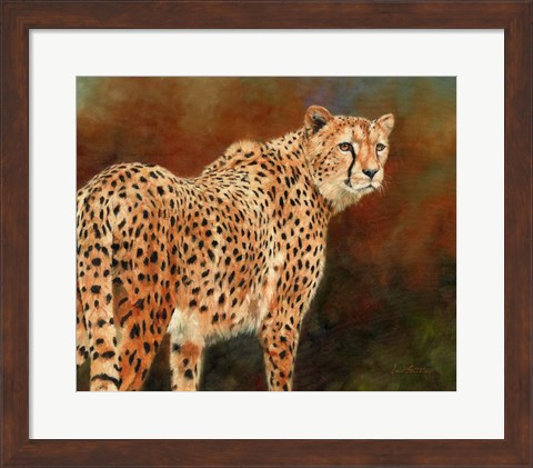 Framed Cheetah10 Print