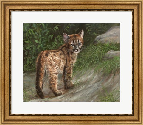 Framed Cougar Cub Print