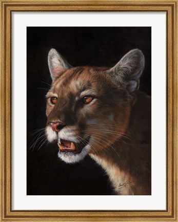 Framed Cougar Print