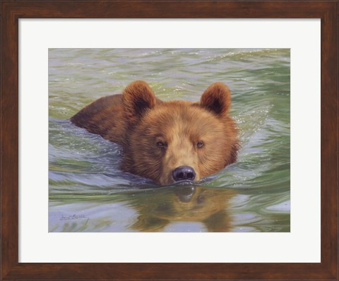 Framed Brown Bear In Water Print