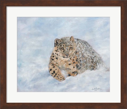 Framed Snow Leopard Final Print