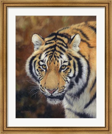 Framed Tiger Siberian Print