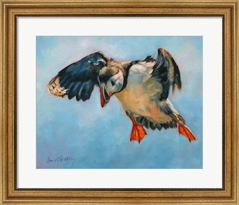 Framed Puffin Print