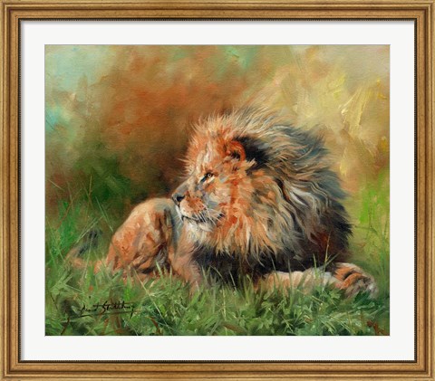 Framed Lion Full Of Grace Print