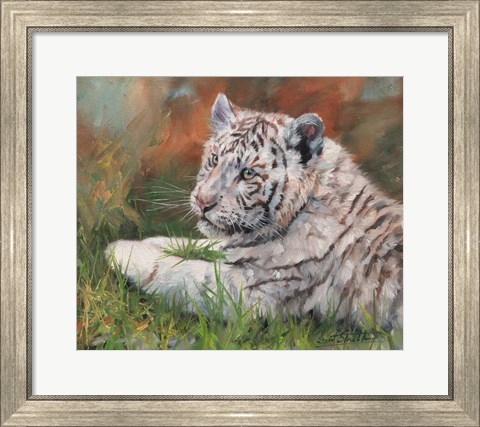 Framed White Tiger Cub Laying Down Print