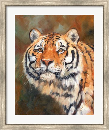 Framed Tiger 1111 Print