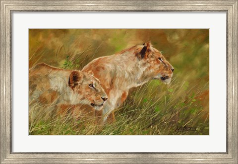 Framed Lion Brothers 2 Print