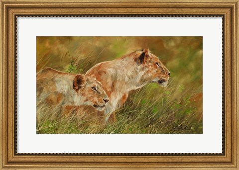 Framed Lion Brothers 2 Print