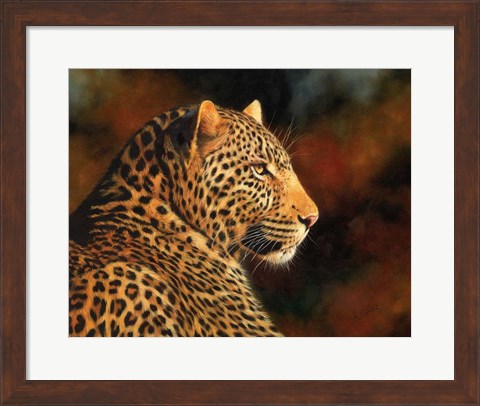 Framed Leopard Looking Right Print