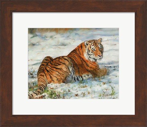 Framed Tiger In Snow Print