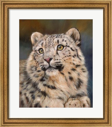 Framed Snow Leopard 6 Print
