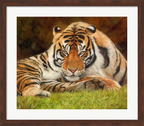 Framed Tiger Stare Print