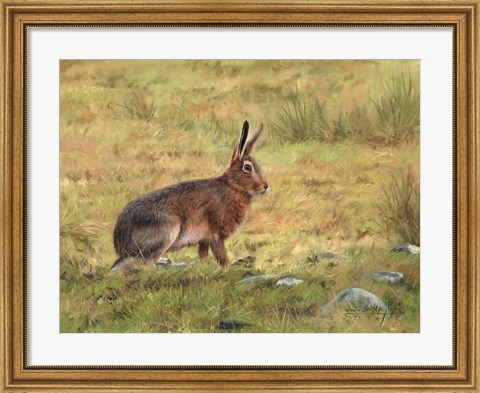 Framed Wild Hare Print