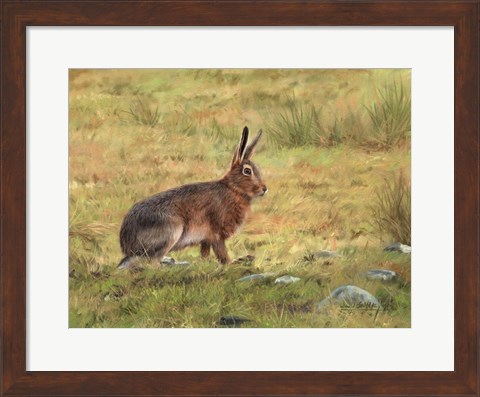 Framed Wild Hare Print