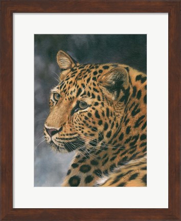 Framed Leopard Portrait 2 Print
