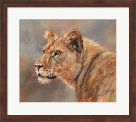 Framed Lioness Portrait Print
