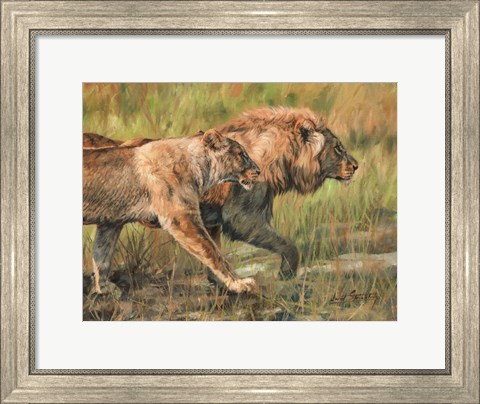 Framed Lion And Lioness Print