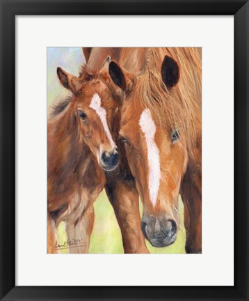 Framed Horse And Foal Print