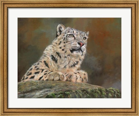 Framed Snow Leopard Rock Print