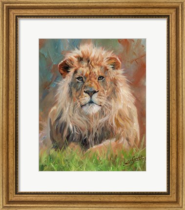 Framed Lion Front 1012 Print