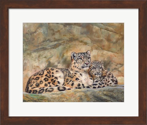 Framed Snow Leopards Circles Print