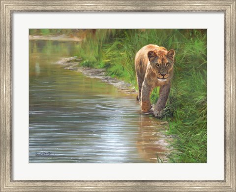 Framed Water&#39;s Edge Lioness Print