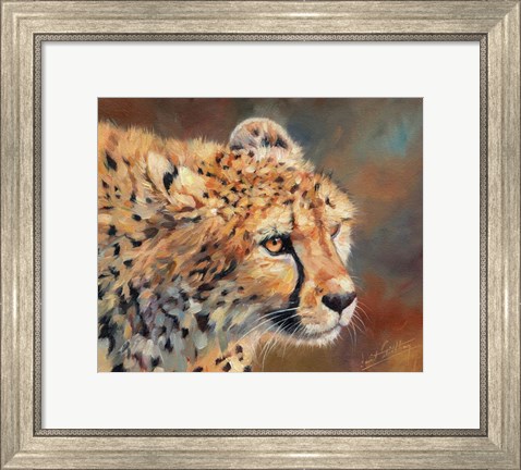 Framed Cheetah Stare Print