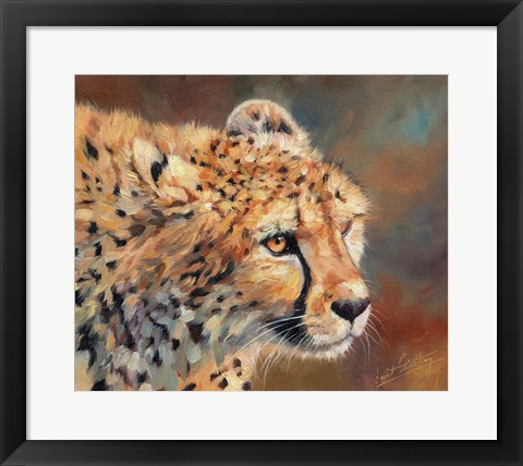 Framed Cheetah Stare Print