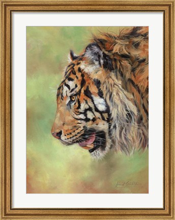 Framed Amur Tiger Profile Print