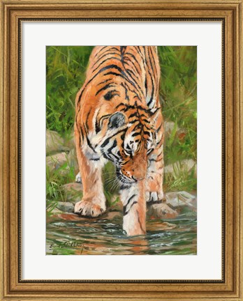 Framed Tiger Stream Print