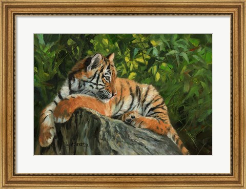 Framed Tiger On Rock Print